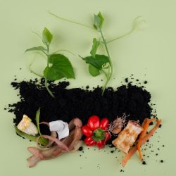 composition-compost-made-rotten-food