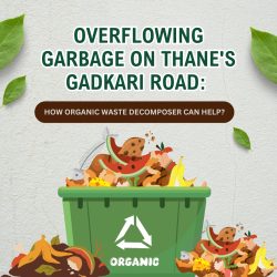 Organic Waste decomposer