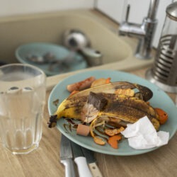 food waste composting machine