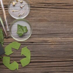 organic waste converter