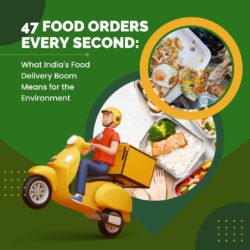 food waste composter